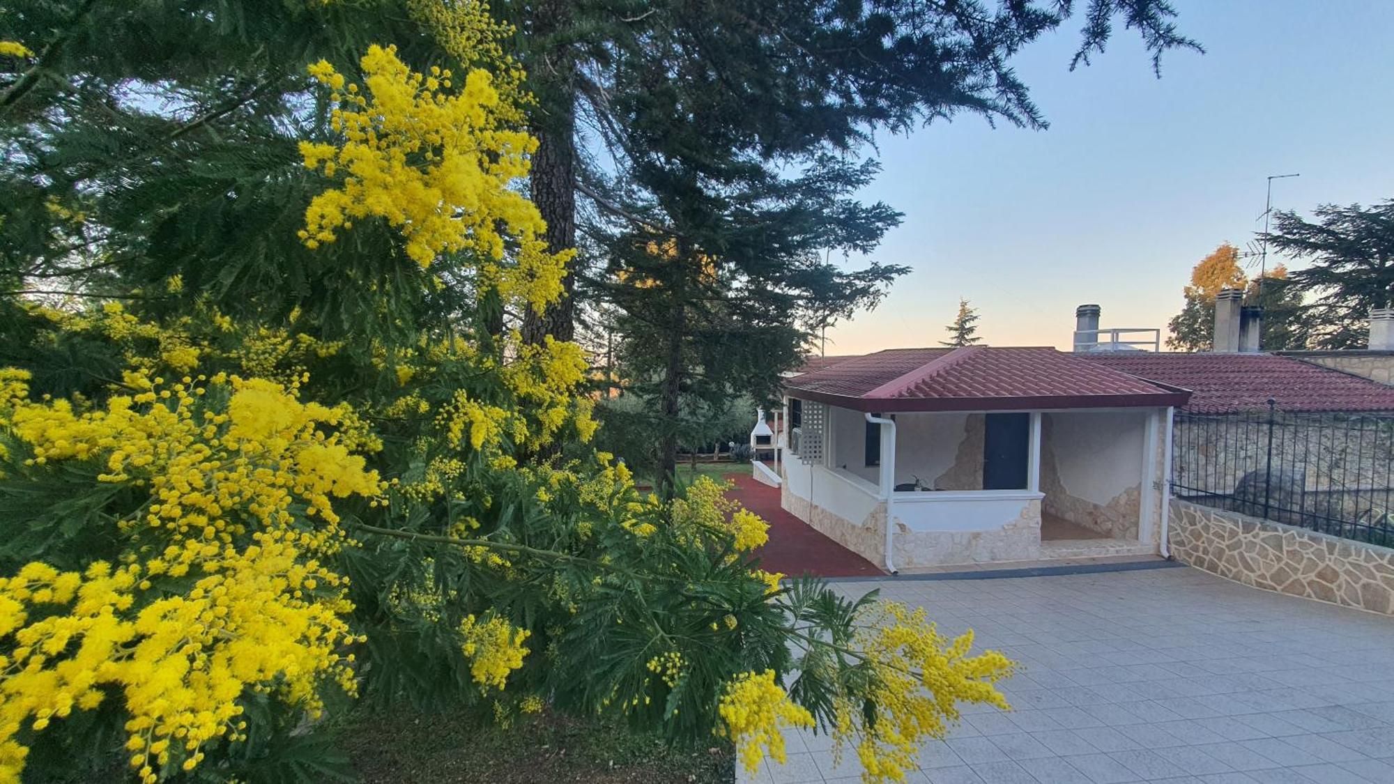 Mercadante - Luxury Holiday House 卡萨诺德莱穆尔杰 外观 照片