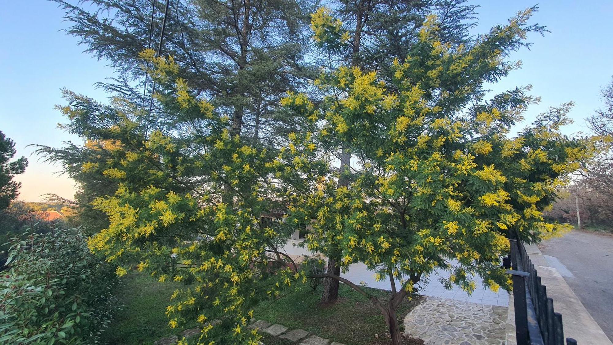 Mercadante - Luxury Holiday House 卡萨诺德莱穆尔杰 外观 照片